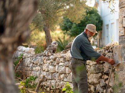 Traditional Puglia Roof Maintenance Guide - Expert handyman maintaining roof
